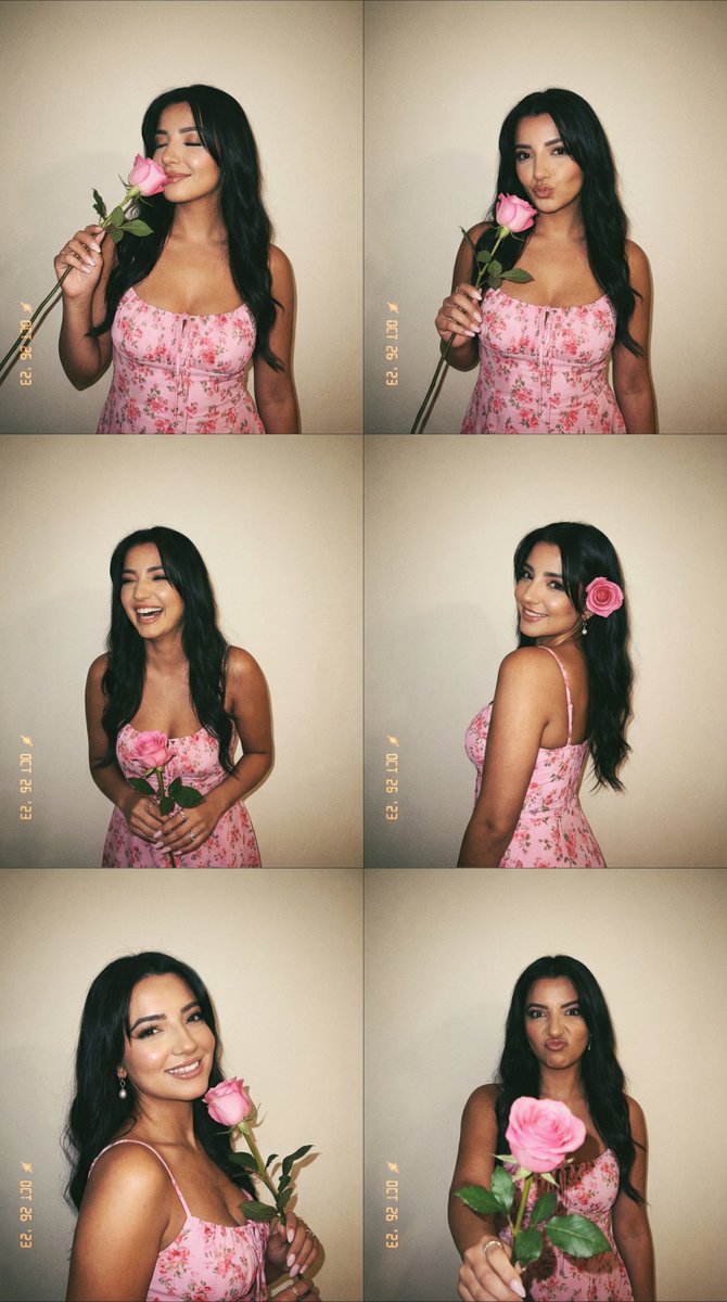 Preview image for 6-Panel Photobooth Grid with Pink Dress and Rose prompt