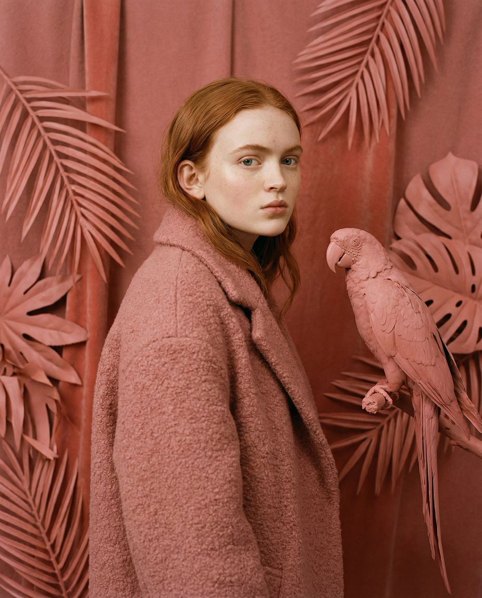 Preview image for Avant-Garde Editorial Velvet Portrait prompt