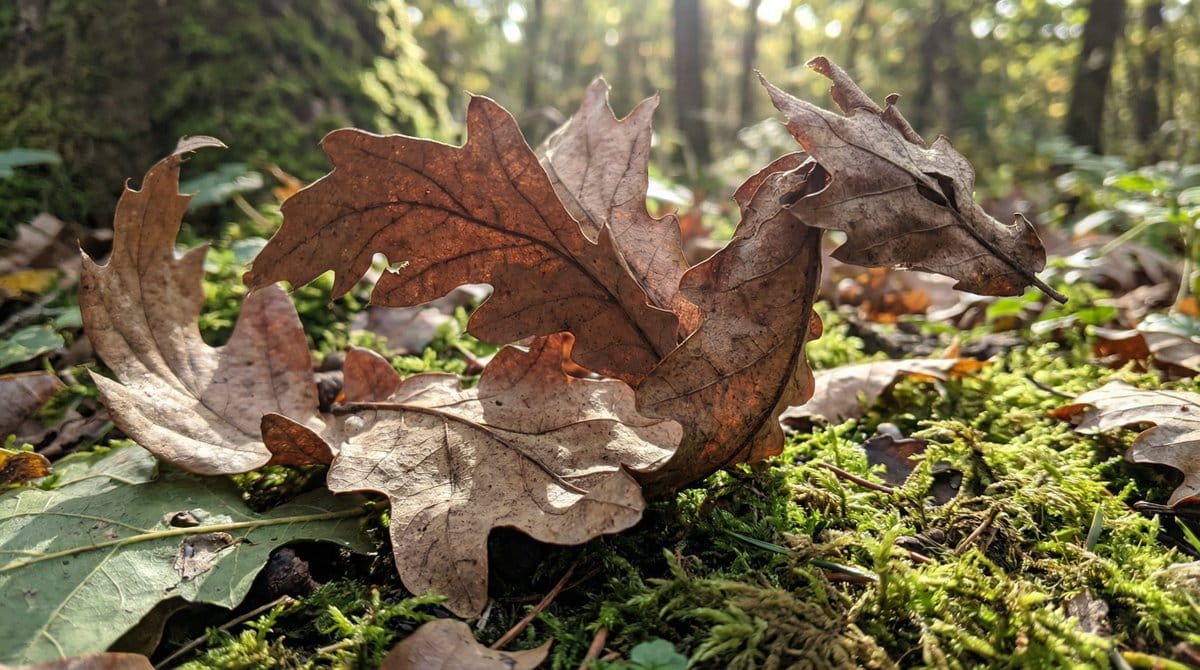 Dragon-Shaped Leaf - AI 프롬프트