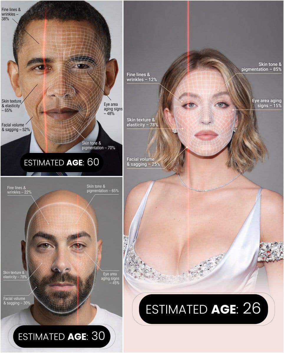 Futuristic facial age-checker infographic portrait - AI Prompt