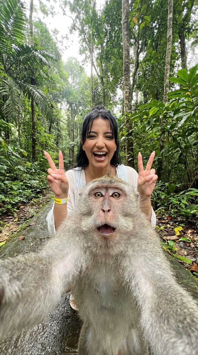 Humorous Monkey Selfie in Tropical Jungle - AI 프롬프트