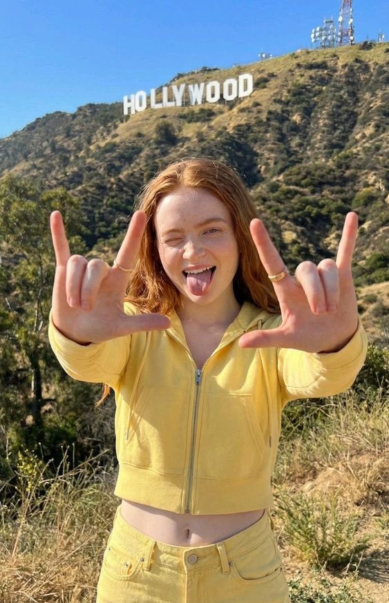Preview image for Photorealistic Portrait of Sadie Sink on the Hollywood Hillside prompt