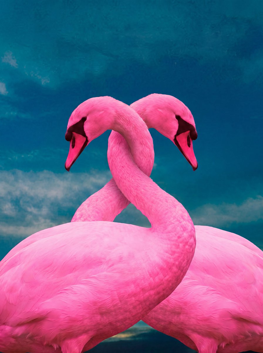 Preview image for Prompt: A surreal, hyper-realistic photo manipulat prompt