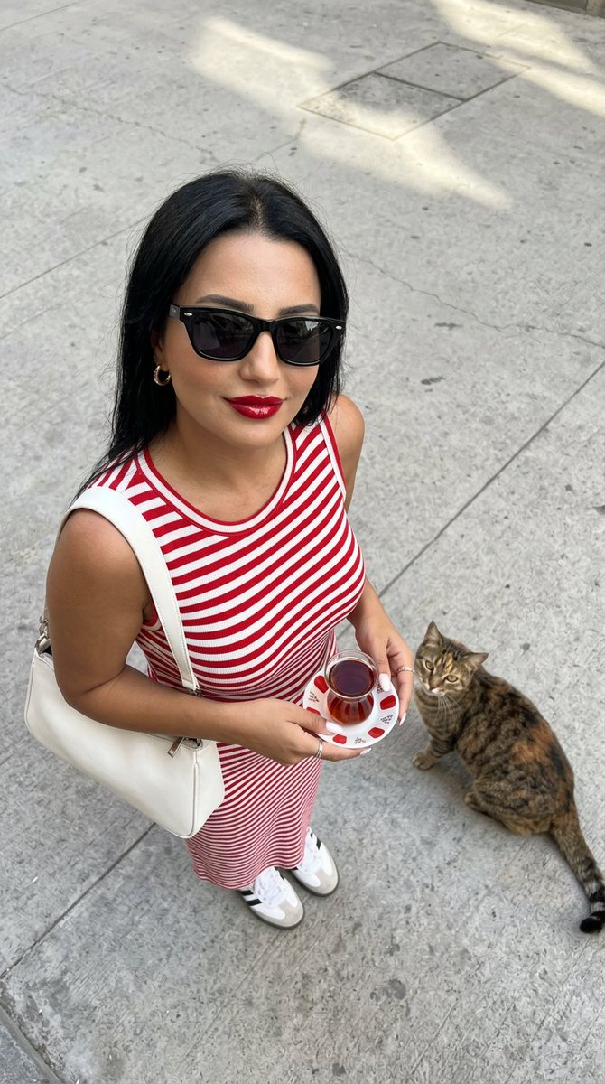 Preview image for Urban Fashion with Istanbul Cat prompt