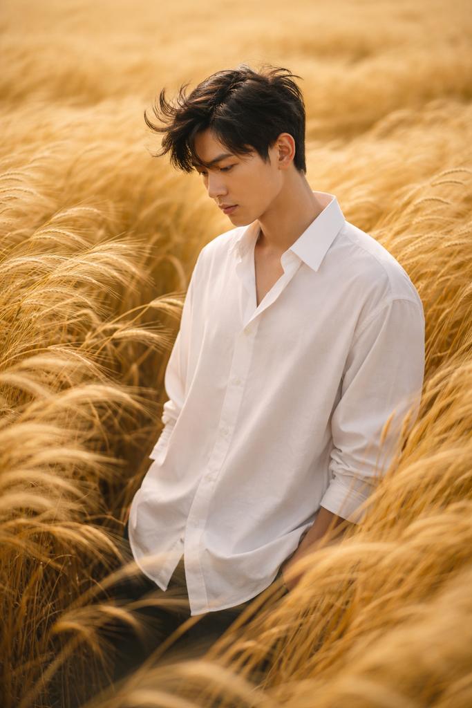 Preview image for Vogue-Level Editorial Portrait in a Wheat Field prompt